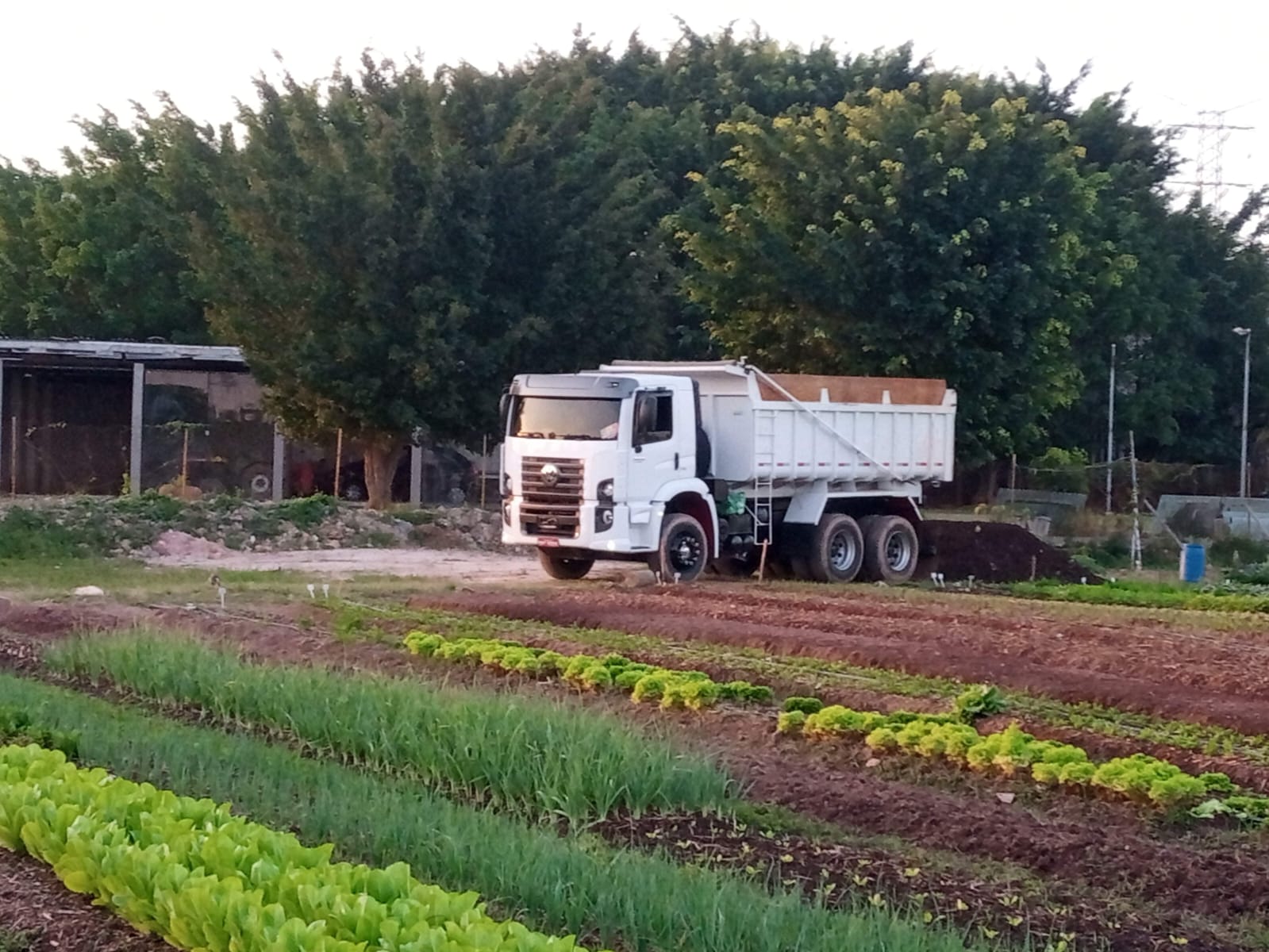 Imagem do WhatsApp de 2024-04-15 à(s) 18.58.42_258b3ec4.jpg